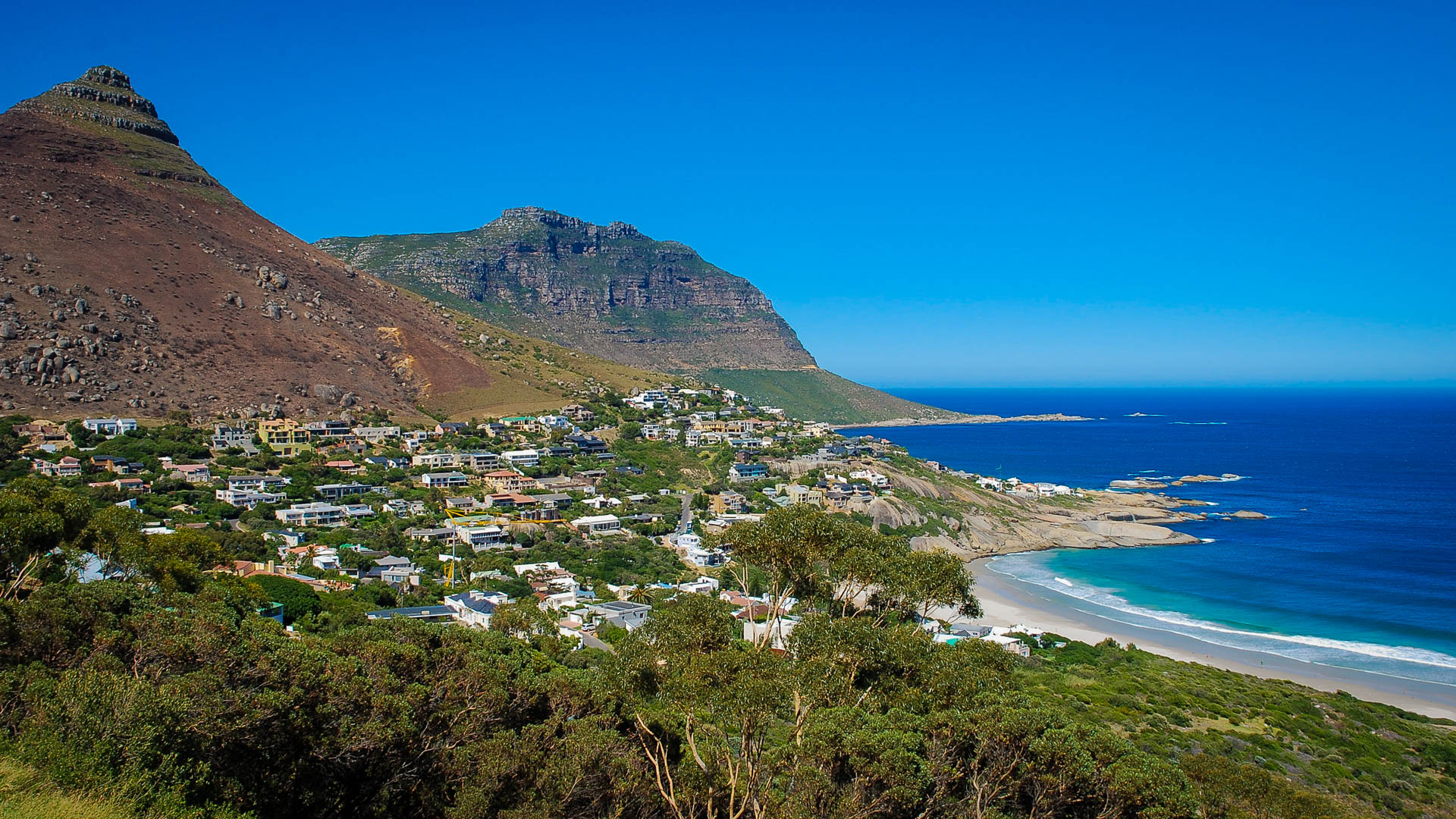 Lionshead