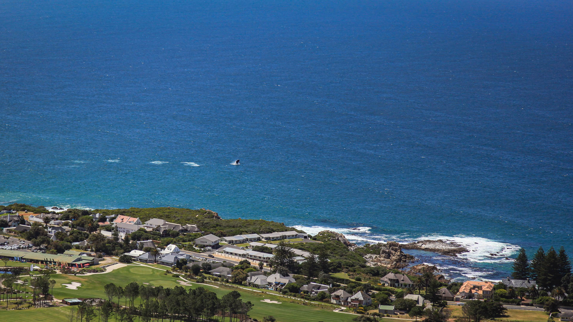 Wall in Hermanus
